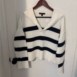 Banana Republic Navy and White V-Neck Sweater